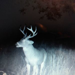 Meet your Posher, Tim